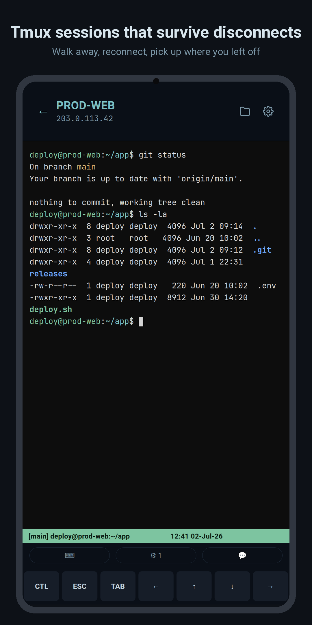 Live terminal session
